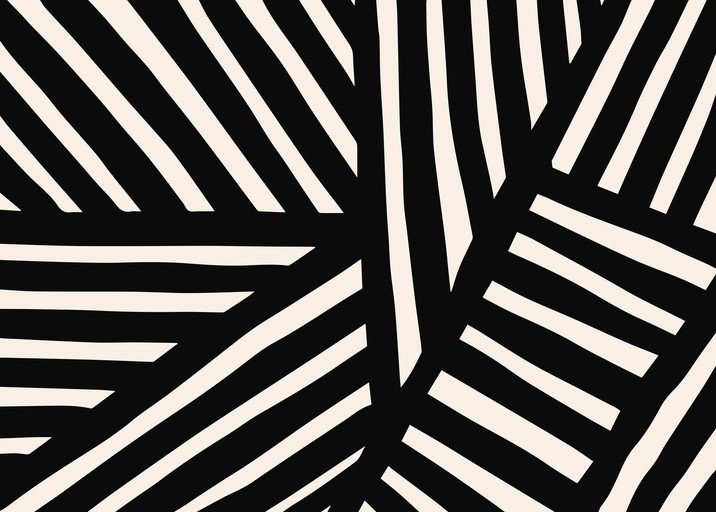 Bold Black and White Geometric Stripe Pattern Design