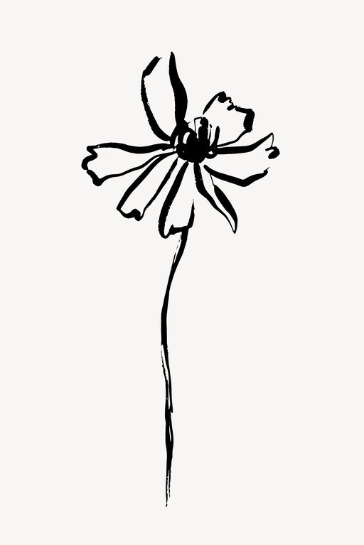 Minimalist Iris Flower Line Drawing Sketch