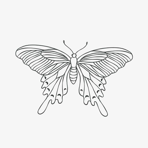 Detailed Line Art Butterfly Illustration with Wings Spread