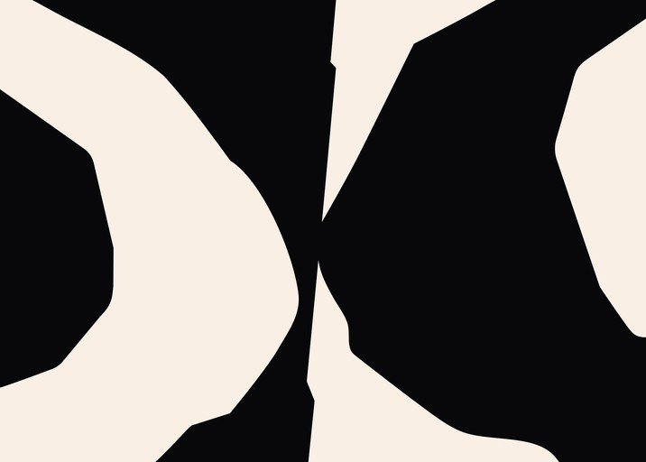 Abstract Black and White Organic Shapes Modern Art