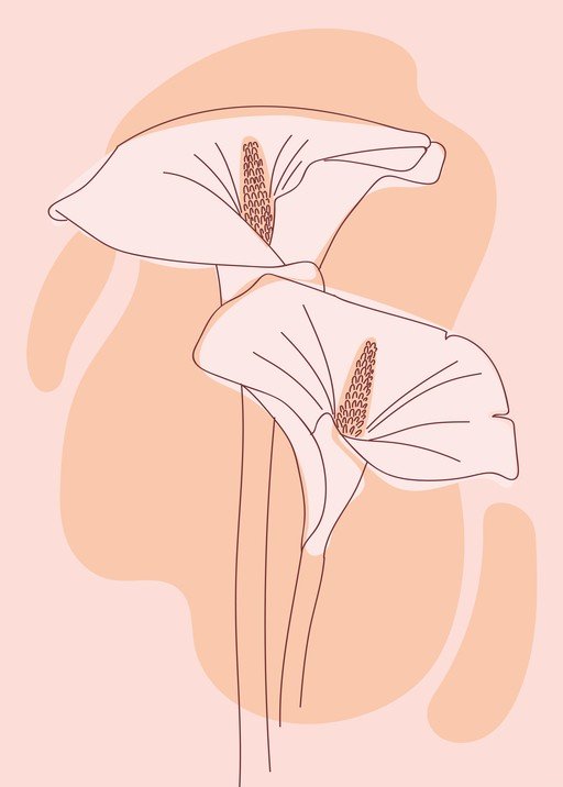 Minimalist Line Art Flowers with Abstract Shapes