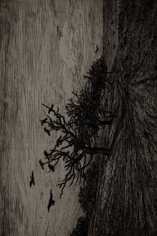 Barren Tree in Desert Landscape - Engraving Art