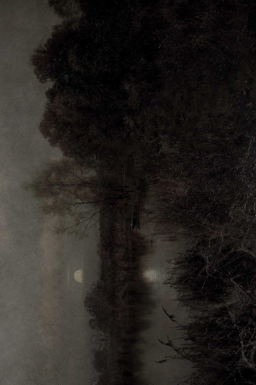 Misty Forest Landscape with Bare Trees and Moon