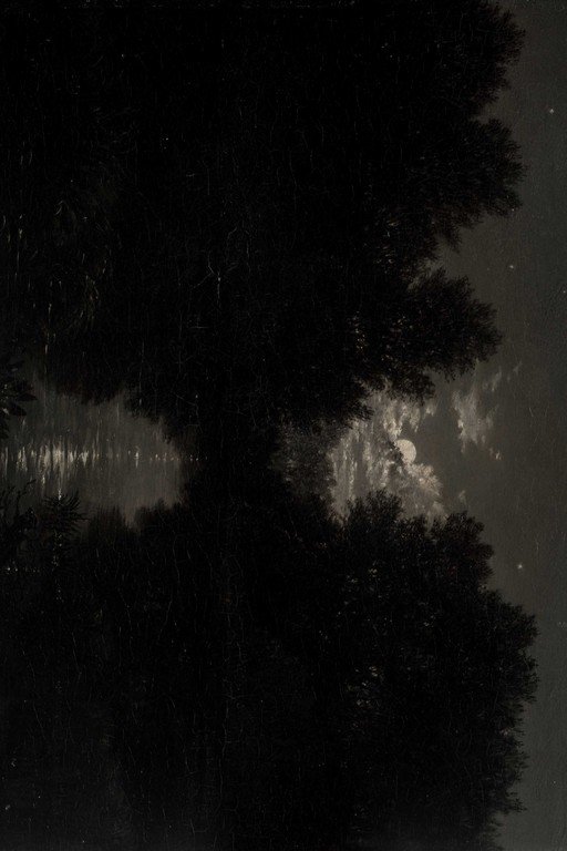 Moonlit Forest Silhouette with Starry Night Sky