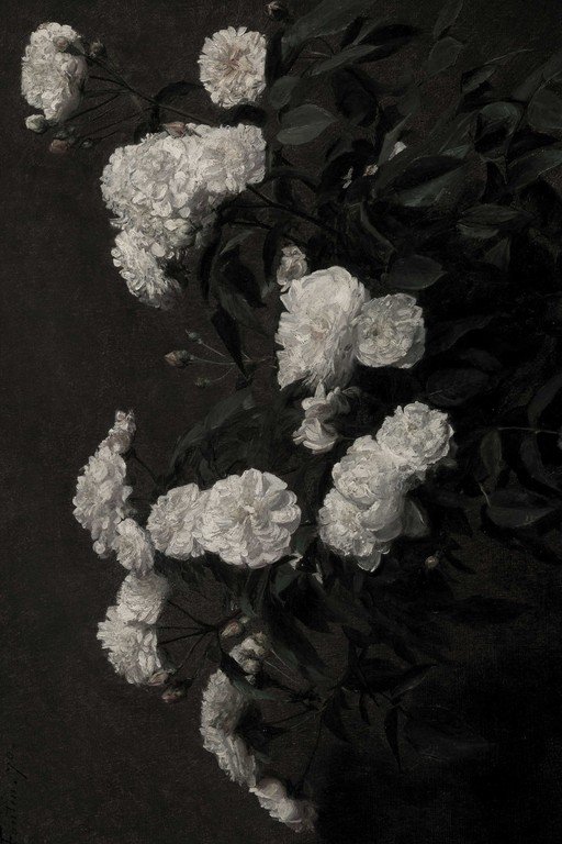 White Roses on Dark Background - Moody Floral Still Life