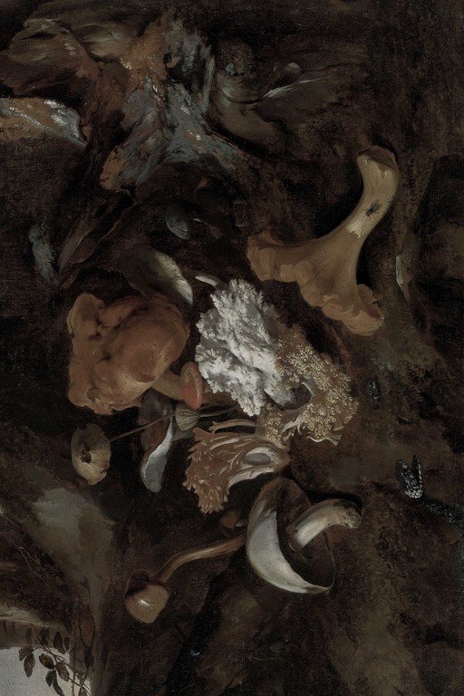 Abstract Organic Forms with Earthen Textures and Bone-White Elements