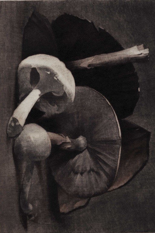 Abstract Surrealist Composition with Organic Forms