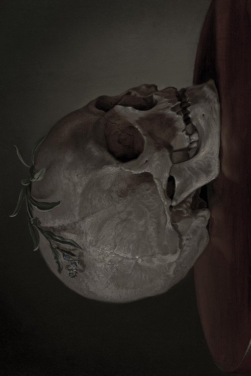 Anatomical Human Skull with Organic Elements Study