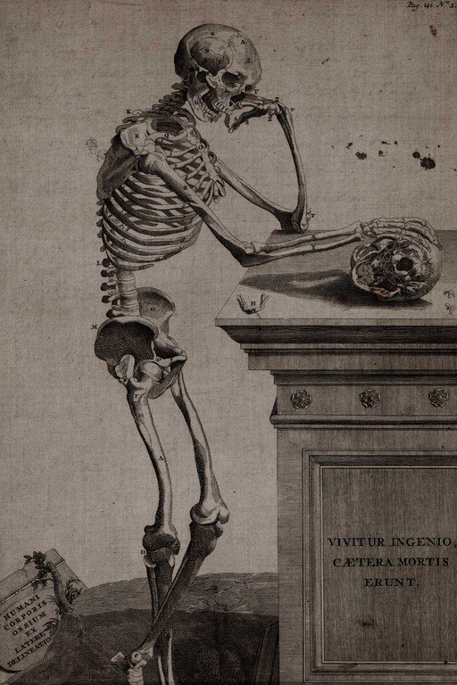 Anatomical Skeleton Study with Memento Mori Inscription