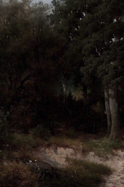 Moonlit Forest Path Through Ancient Trees at Night