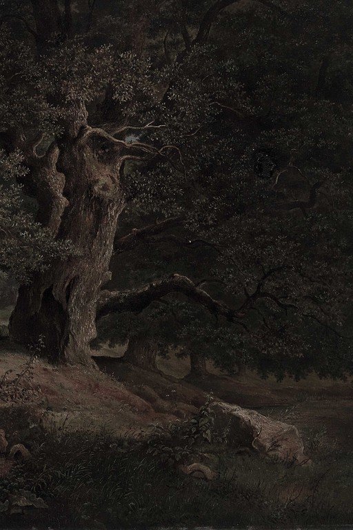 Ancient Gnarled Tree in Moonlit Forest Landscape
