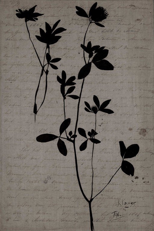 Botanical Silhouette Wildflowers on Vintage Letter Background
