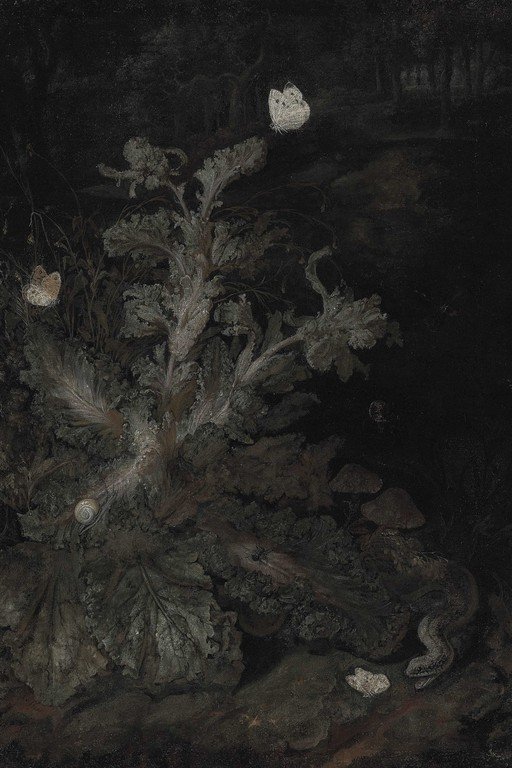 Moonlit Wildflowers in Dark Garden - Botanical Night Study