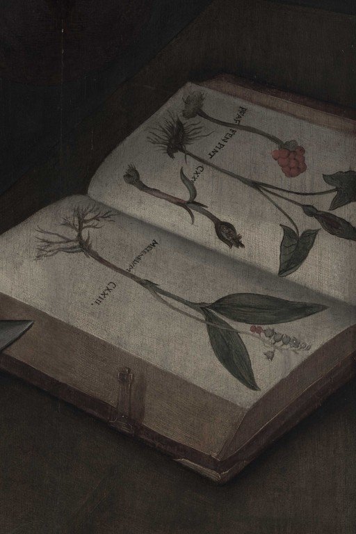 Vintage Botanical Illustration Book with Pressed Flowers