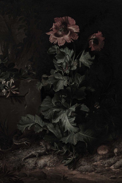 Dark Floral Still Life with Wilted Sunflowers and Insects