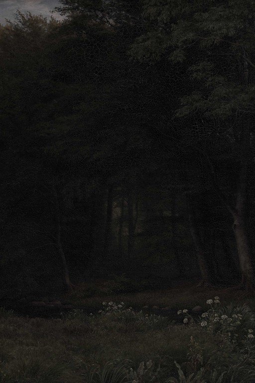 Dark Forest Path with White Wildflowers at Dusk