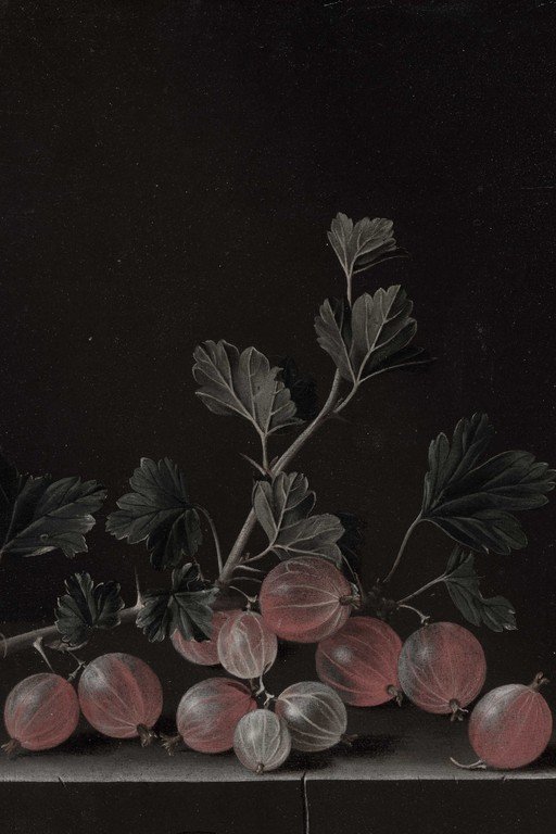 Botanical Still Life with Gooseberries and Foliage