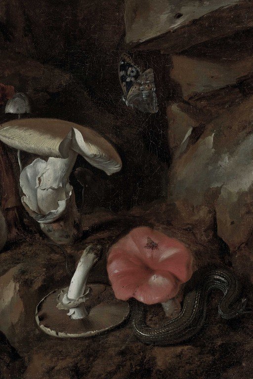 Baroque Still Life with Mushrooms, Butterfly, and Snake