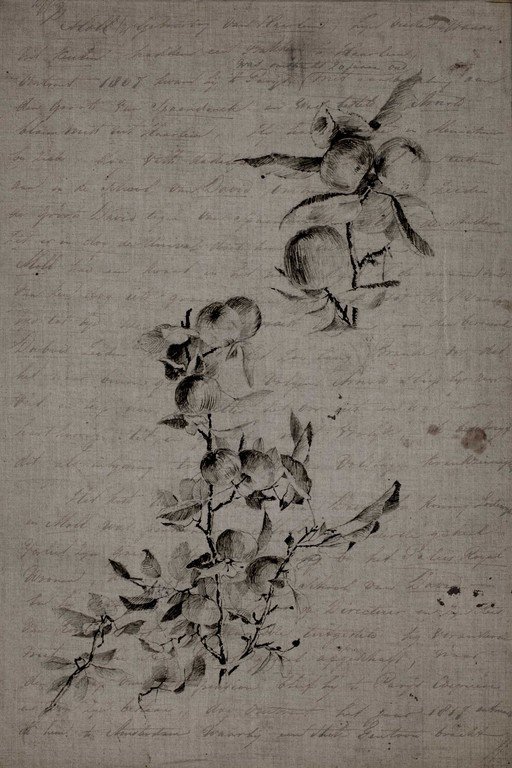 Vintage Botanical Sketch with Handwritten Text Background