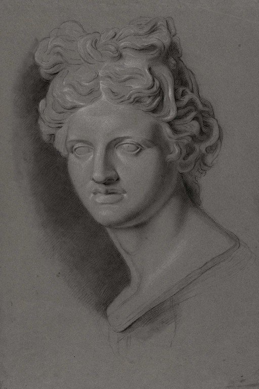 Classical Male Bust Portrait Pencil Drawing