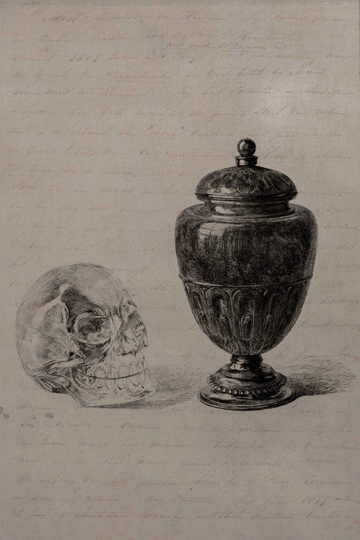 Anatomical Skull and Ornamental Urn Still Life Engraving