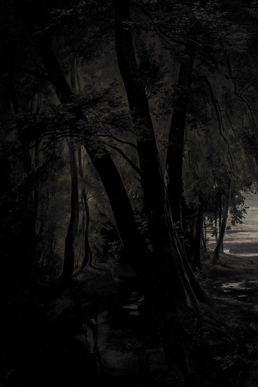 Dark Forest Path Through Ancient Trees and Shadows