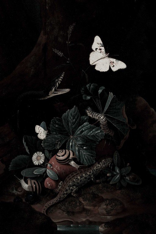 White Butterflies and Flora in Dark Botanical Composition