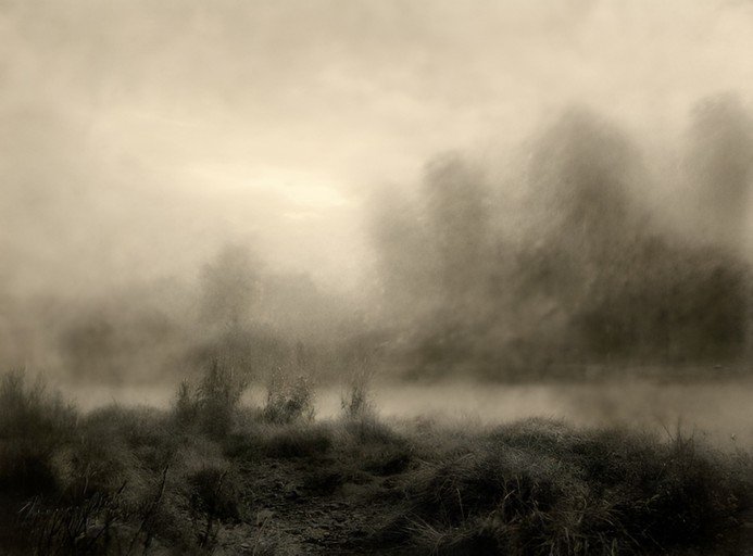 Misty Landscape with Evergreen Trees and Foggy Morning