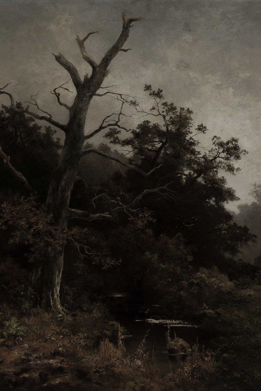 Dead Tree in Misty Forest Landscape