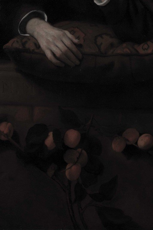 Hand Touching Delicate Plant Against Dark Background