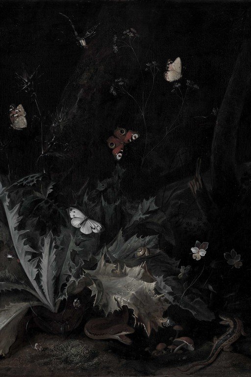 Nocturnal Garden: Butterflies and Reptiles in Darkness