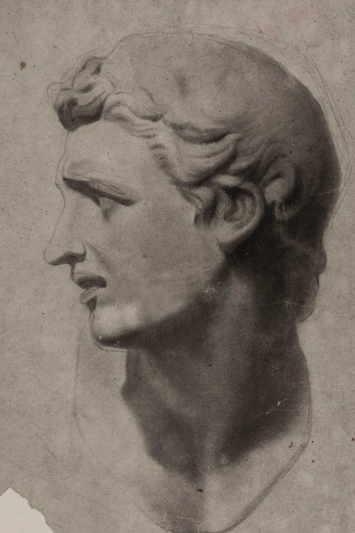 Classical Male Head Sculpture Profile Study