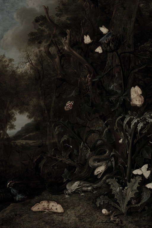 Dark Forest Nocturne with Butterflies and Flora