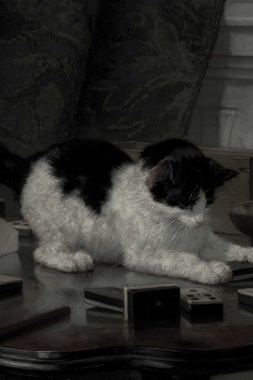 Black and White Cat on Dark Table with Remote Controls