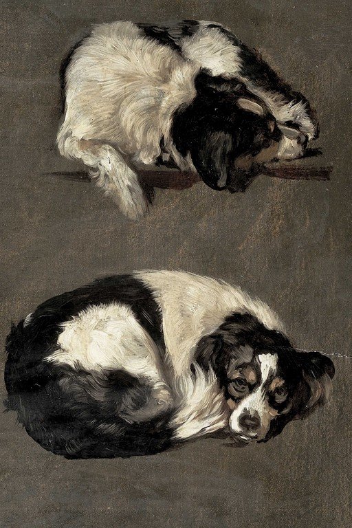Classical Study of Two Black and White Spaniels