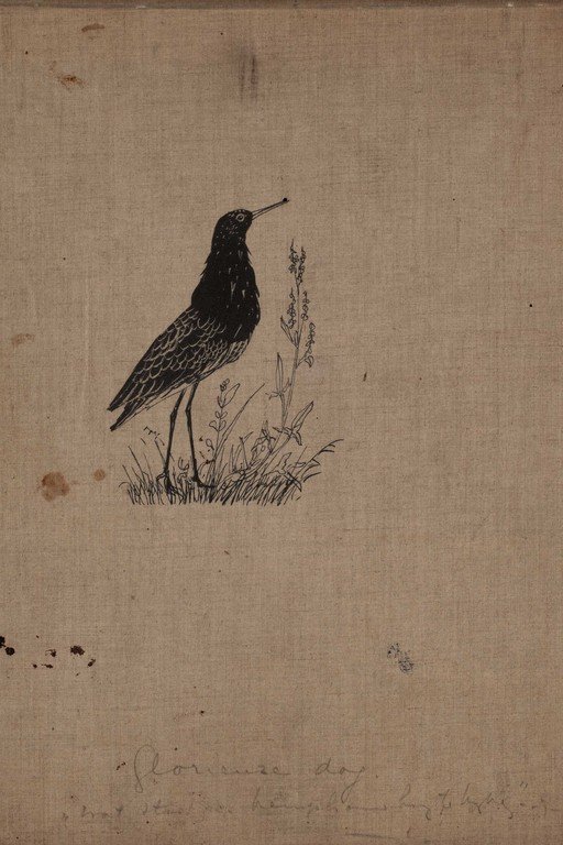 Vintage Bird Study with Wildflowers Ink Drawing
