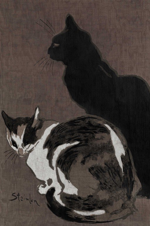 Two Cats Portrait: Black and White Feline Study