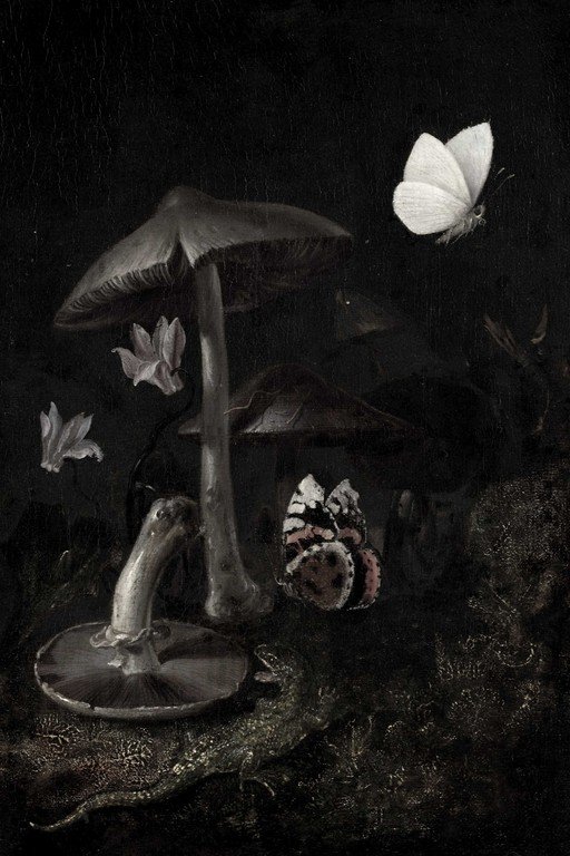 Still Life with Mushrooms, Butterflies, and Lizard