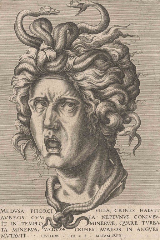 Medusa's Head with Snakes