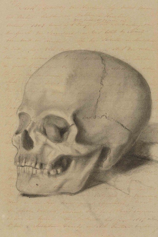 Pencil Sketch of a Human Skull on Lined Paper