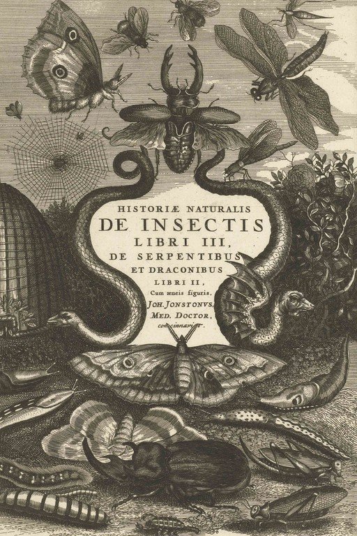 Historic Naturalis De Insectis: A Compendium of Insects and Reptiles