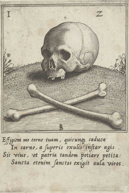 Vanitas Still Life with Skull and Crossbones