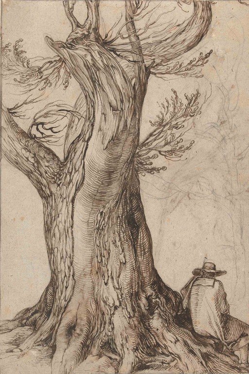 Old Tree with a Seated Figure