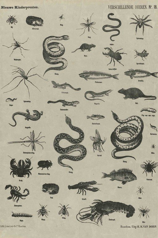 Vintage Children's Print of Various Animals