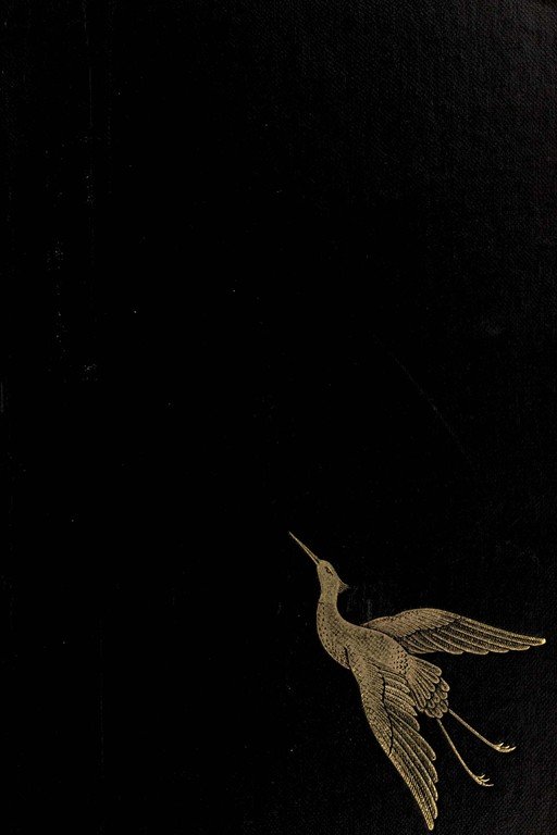 Elegant Crane Illustration on Black Background