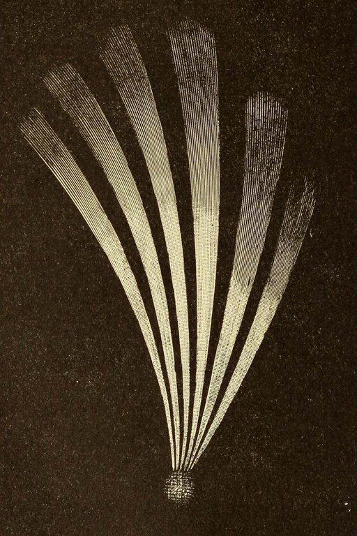 Vintage Illustration of Light Rays Emanating from a Sphere