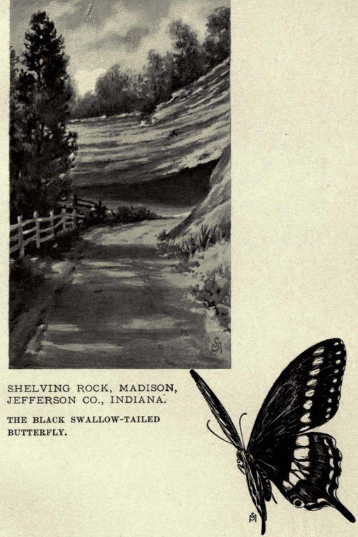 Shelving Rock, Indiana Landscape with Black Swallowtail Butterfly