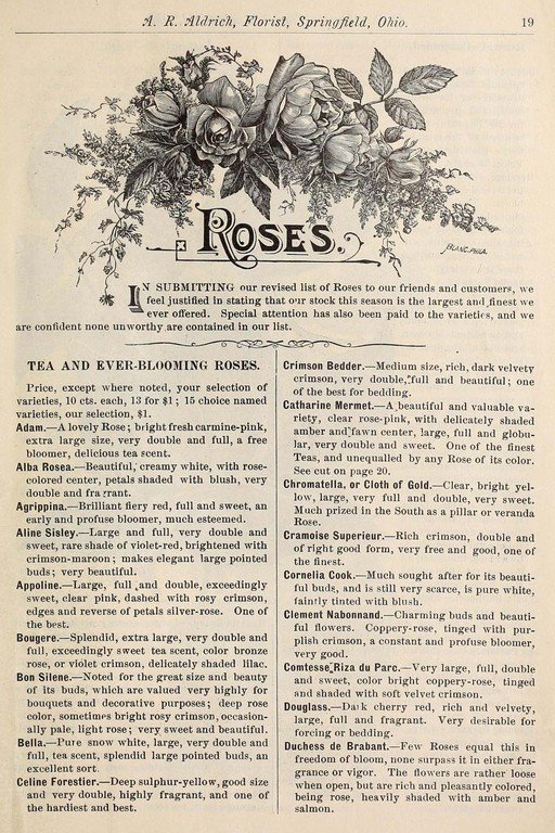 Vintage Rose Catalog Page with Descriptions