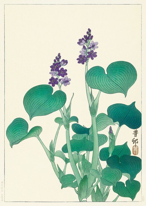 Japanese Woodblock Print of Purple Flowers and Green Leaves