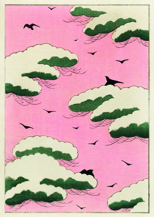 Birds in Pink Sky with Snow-Covered Clouds